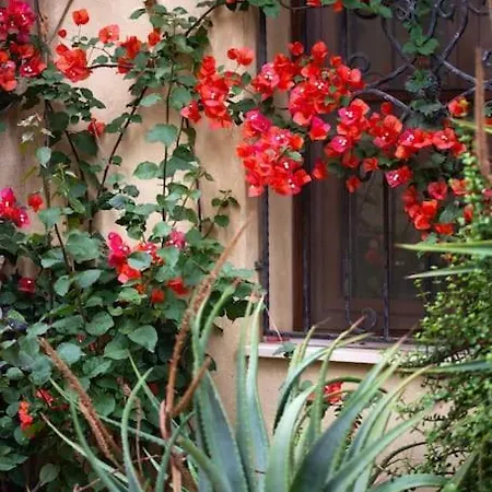 Casa Di Betty * Càbras